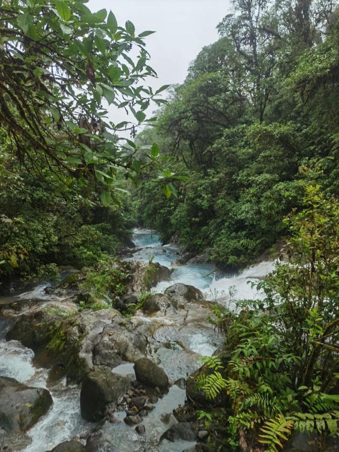 Apartamento Selvatica Del Toro Bajos del Toro Exterior foto