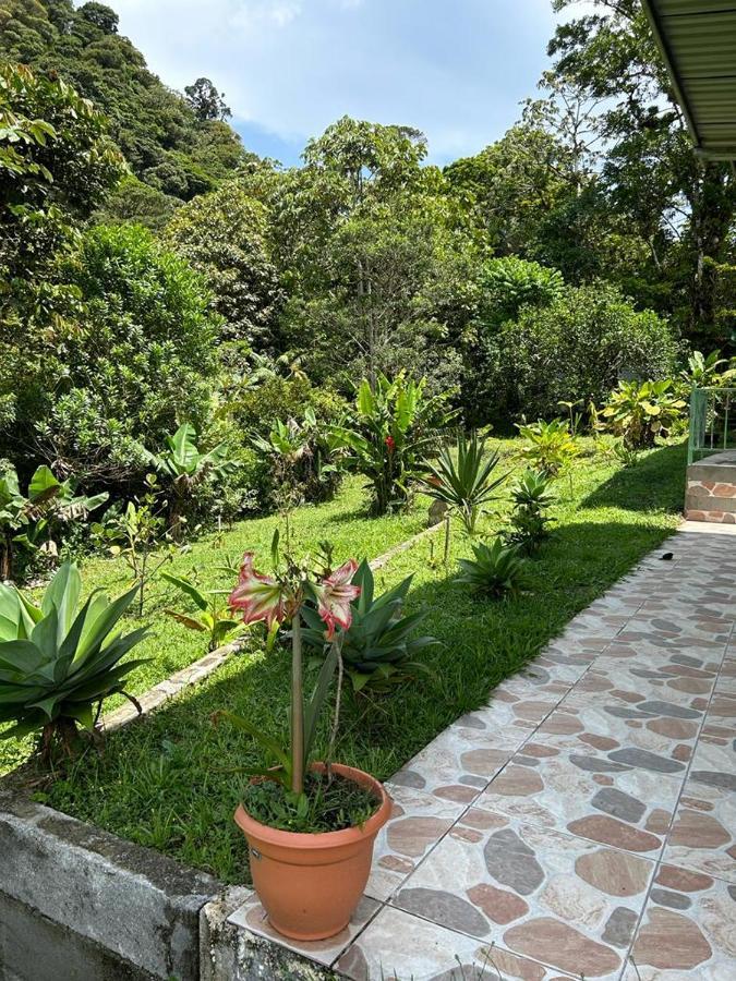 Apartamento Selvatica Del Toro Bajos del Toro Exterior foto