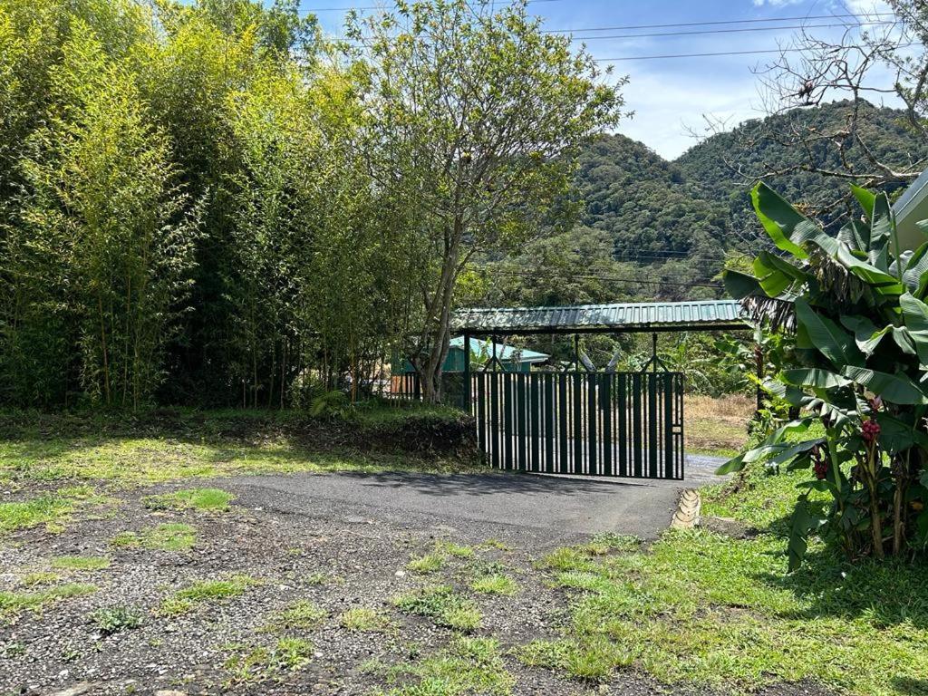 Apartamento Selvatica Del Toro Bajos del Toro Exterior foto