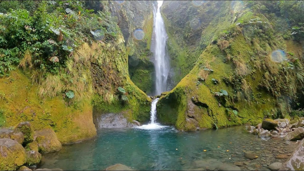 Apartamento Selvatica Del Toro Bajos del Toro Exterior foto