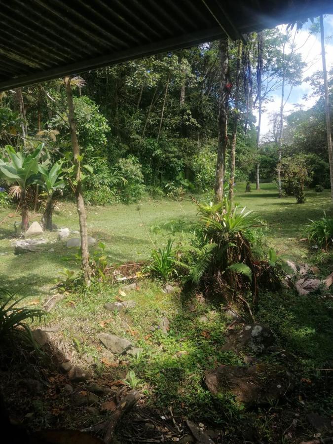 Apartamento Selvatica Del Toro Bajos del Toro Exterior foto