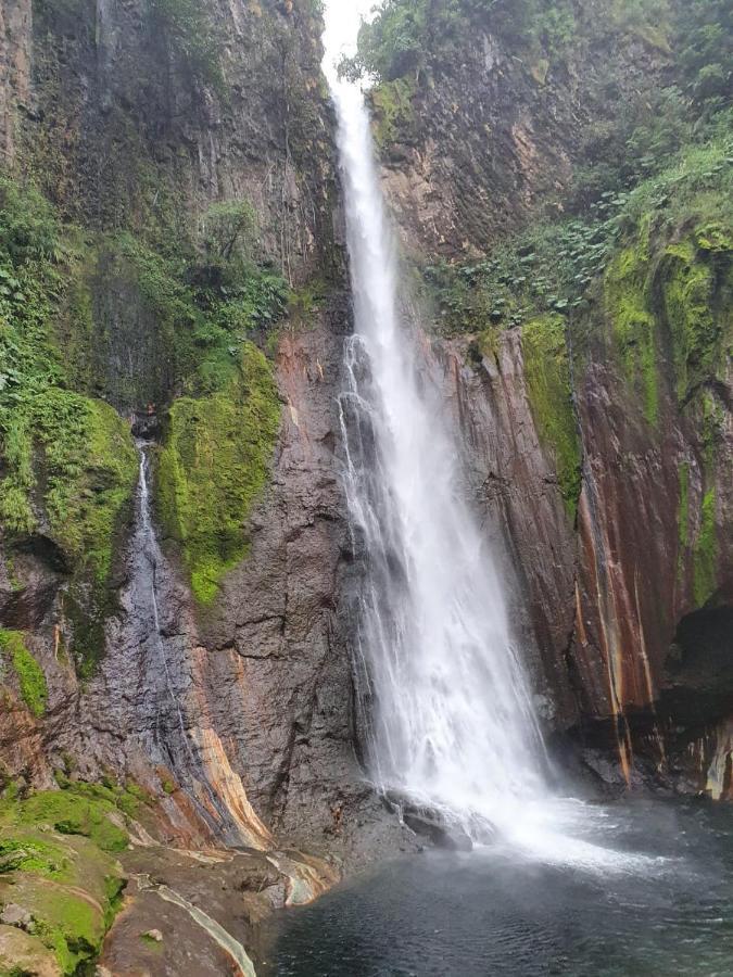 Apartamento Selvatica Del Toro Bajos del Toro Exterior foto